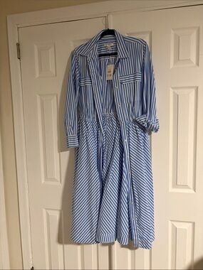 Striped Blue and White Long Sleeve Shirt Dress